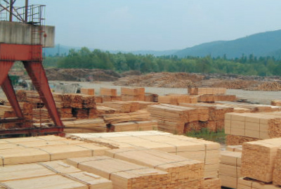 世界各地から、高品質な木材をより安く供給